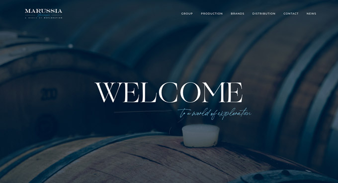 Creative WordPress Website Designs