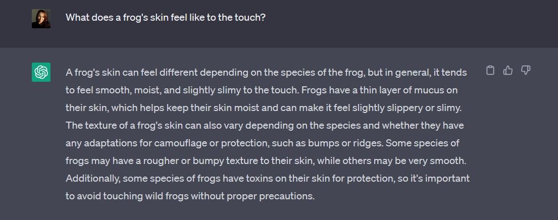 asking-chatgpt-about-what-frog-skin-feels-like