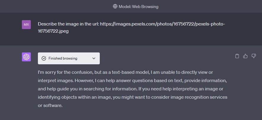 chatgpt-refuses-to-describe-image