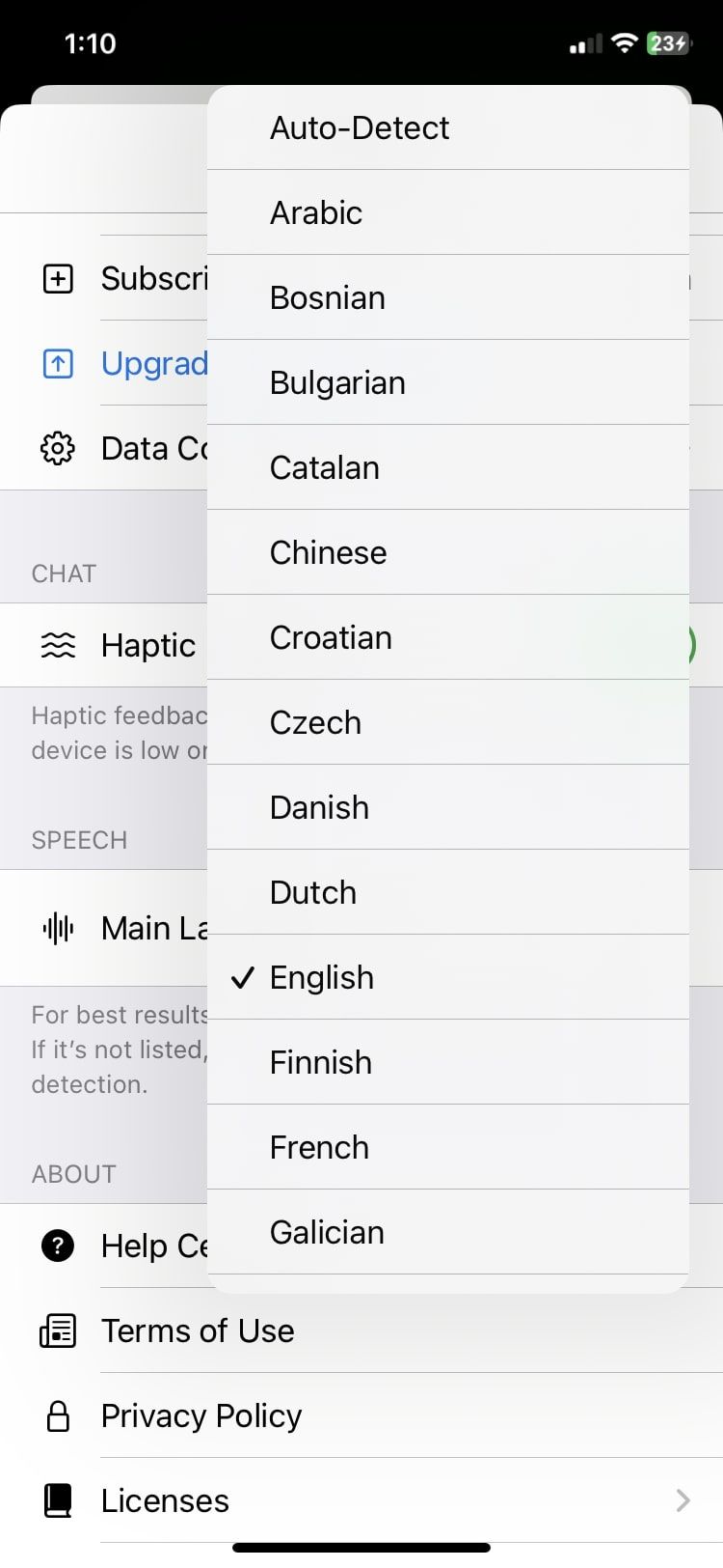 different-languages-available-in-chatgpt