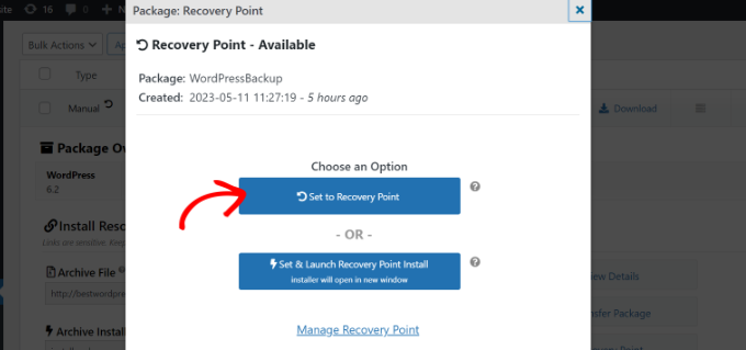 click-set-to-recovery-point-option